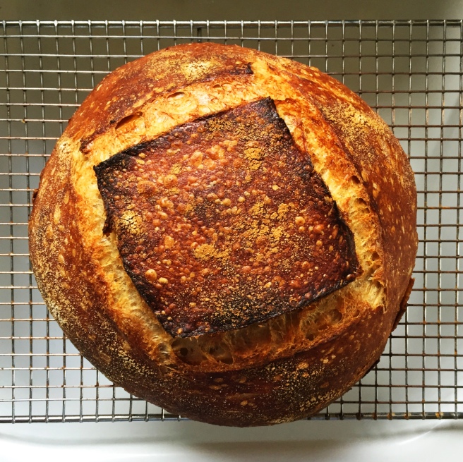 This week's sourdough loaf